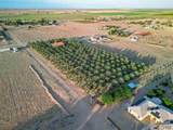 3472 County 17 3/4 St - Photo 38