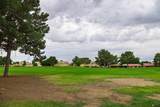 12172 Via Loma Vista - Photo 33