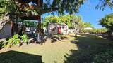 1031 Brahma Ln - Photo 36