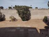 2332 Del Oro Ln - Photo 24