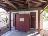 2901 Palo Verde Ln - Photo 26