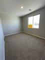 3661 Santana Drive - Photo 12