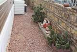10323 Compadre Pl - Photo 18