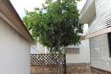 10323 Compadre Pl - Photo 19