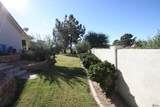 11419 Via Montana - Photo 39
