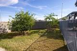 4259 San Francisco St - Photo 3