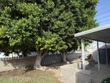2040 Whitewing Ave - Photo 30