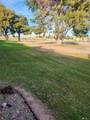 12172 Via Loma Vista - Photo 19
