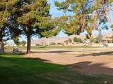 12172 Via Loma Vista - Photo 20