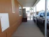 11369 Clara Anita Dr - Photo 4