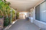 10331 Compadre Ln - Photo 12