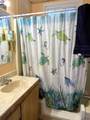 11416 Clara Anita Dr - Photo 14