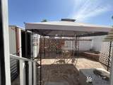 11295 Clara Anita Dr - Photo 16