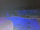 10739 39 ST - Photo 23