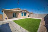 4493 Cholla Way - Photo 5