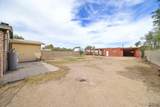 901 Palm Ave - Photo 15