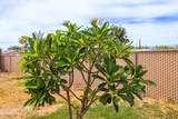 901 Palm Ave - Photo 24