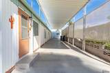 3651 Papago Dr - Photo 18