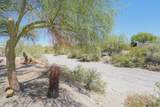 13219 Driftwood Dr - Photo 28