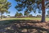 11636 Via Salida - Photo 32