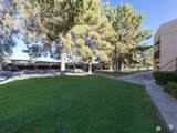 10642 Camino Del Sol - Photo 23