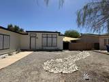 3531 Cactus Wren - Photo 2