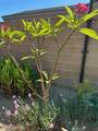 10168 39 LN - Photo 37