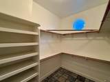 13204 Hamlin Dr - Photo 15