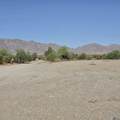 23750 County 14 St - Photo 2