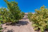 6303 43 PL - Photo 30