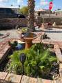 13686 49 ST - Photo 36