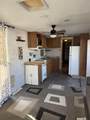 12173 36 PL - Photo 10