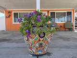 13641 52 DR - Photo 40