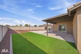 3618 Cactus Wren - Photo 26