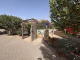 30404 Palo Verde - Photo 38