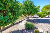 1443 Mia Ln - Photo 25