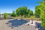 1443 Mia Ln - Photo 28
