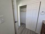 4428 Cholla Way - Photo 10