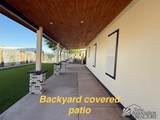 3531 Cactus Wren - Photo 27