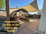3531 Cactus Wren - Photo 30