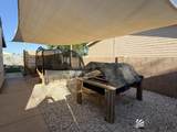 3531 Cactus Wren - Photo 33