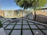 3531 Cactus Wren - Photo 35