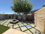 3531 Cactus Wren - Photo 36