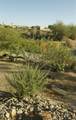 14593 50 ST - Photo 40
