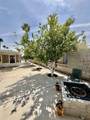 704 Rainbow Ln - Photo 18