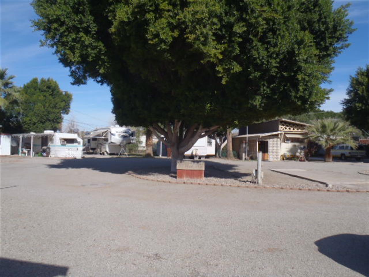 734 May Ave - Photo 1