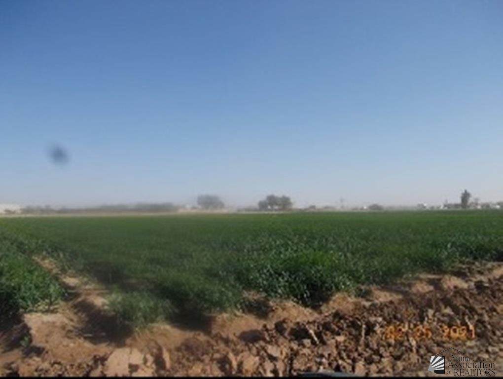 0000 Somerton - Photo 1