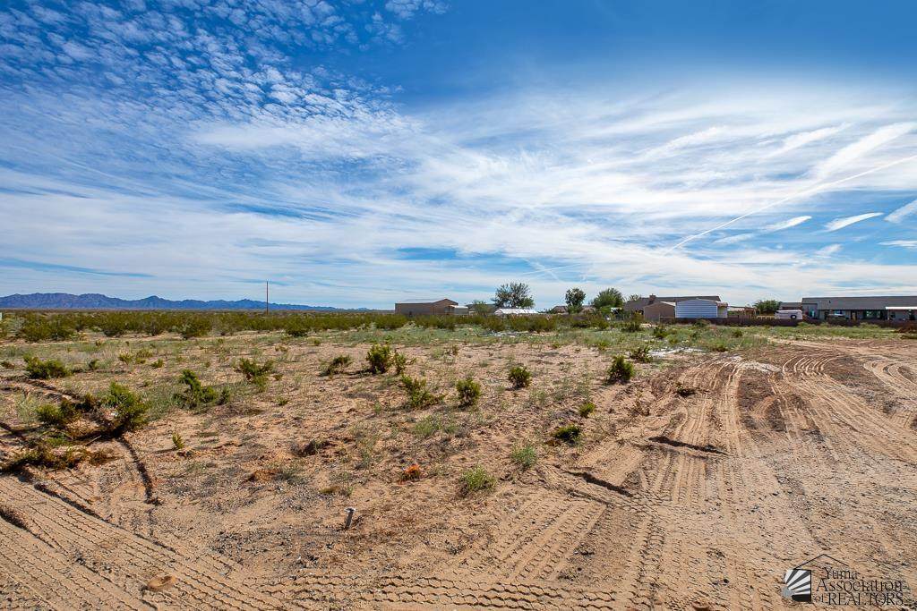 000 Sierra Sands - Photo 1