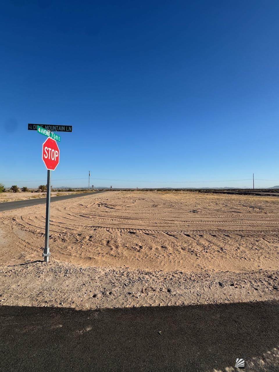 0000 Dune Mountain Lane - Photo 1
